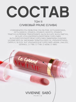 Vivienne Sabo Блеск для губ Le grand volume тон 11 сливовый  фото 11