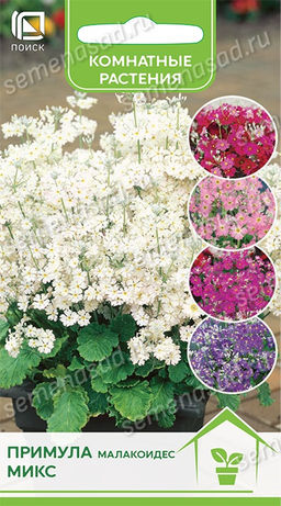 Примула малакоидес Розовая (ЦВ) (К) 10шт - Поиск фото 2