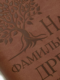Родословная книга со встроенной флешкой 16 Gb «Наше фамильное дерево», 17.5×23 см