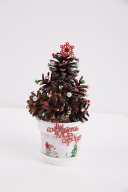 Blumentag PIF-04 Шишки 10 шт. 01 Сосна фото 5