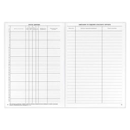 Классный журнал 10-11 класс арт. 5193