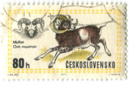Марка Муфлон 1971 год Чехословакия
