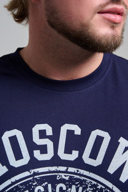 Футболка мужская 8503/1