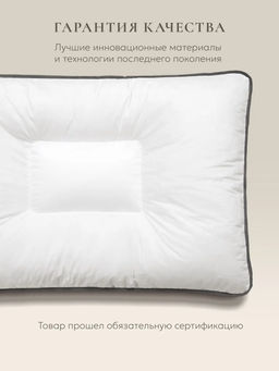 Подушка "QUADRO 3D" с лузгой гречихи, 50х70, ЕС-4165