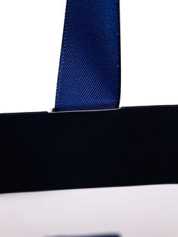 Пакет подарочный «Синий», 28×20×10 см