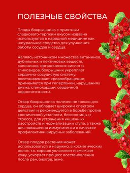 Боярышник (плоды) для укрепления сердечно-сосудистой системы - Siberina фото 3