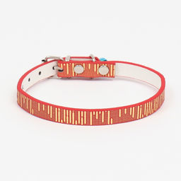 Ошейник Блестящая полоса, искусственная кожа, 31 х 1 см, микс цветов