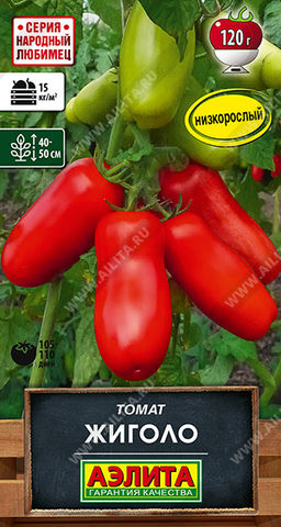 Томат Жиголо (2030)