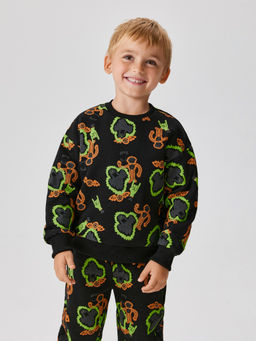 ACOOLA / Джемпер детский для мальчиков Polaris черный