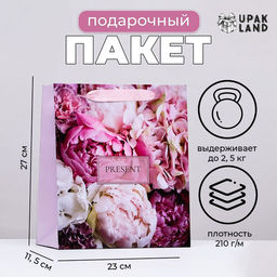 Пакет ламинированный вертикальный PRESENT, 23?27?11.5 см