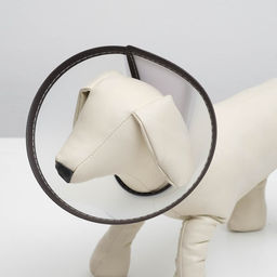 Ветеринарный воротник Пижон Premium №5, обхват шеи 29,5 см, высота 15 см  фото 3