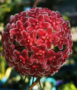 d437fefed4e569fbdee3513ba8ad7b276ce3blstmka3nhis