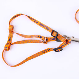 Комплект Чертовски хорош, шлейка 24-36 см, поводок 120х1 см - Пушистое счастье фото 2