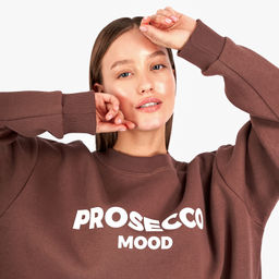 Свитшот J.503 шоколад - Argo classic фото 4