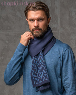 ST 187 Шарф мужской (180 x 25)