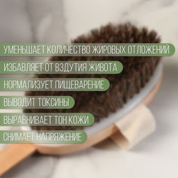 Щётка массажная из натуральной щетины, с ручкой, конский волос, гладкая - Добропаровъ фото 4