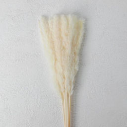 Сухоцвет «Камыш», набор 15 шт., бежевый