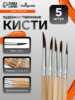 Цена за 2 шт. Кисти для рисования, пони, 5 штук: № 1, 2, 3, 4, 5, круглые, деревянная ручка, международный размер