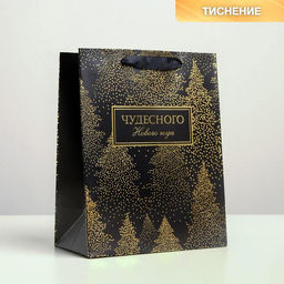 Цена за 6 шт. Пакет ламинированный вертикальный Чудесного Нового года, MS 18 23 10 см