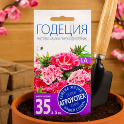 Цена за 3 шт. Семена цветов Годеция Выставка азалий, О, 0,3г