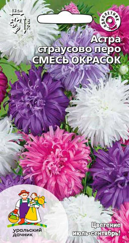 Астра СТРАУСОВО ПЕРО смесь