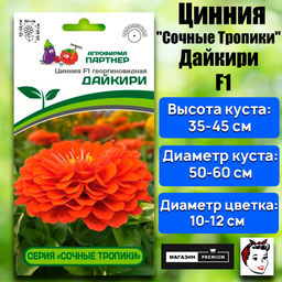3371P Цинния F1 ДАЙКИРИ / георгиновидная 4шт