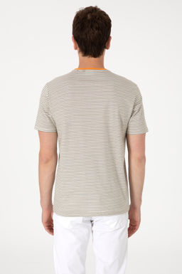 Erkek Regular Fit Bisiklet Yaka Haki _izgili Ti__rt Sepette S_rpriz _ndirim - U.s. polo assn фото 5