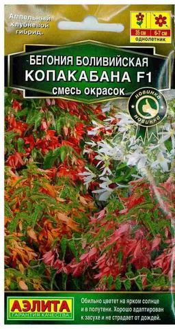 Бегония боливийская Копакабана F1, смесь окрасок