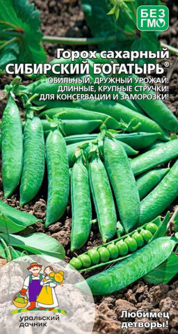 Горох СИБИРСКИЙ БОГАТЫРЬ Обильный, дружный урожай! Длинные крупные стручки! Для консервации и заморозки!