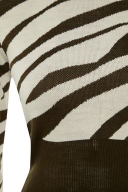 Zumrut Yesili Zebra Desenli Crop Triko Kazak TWOAW21KZ0010 - Trendyolmilla фото 16