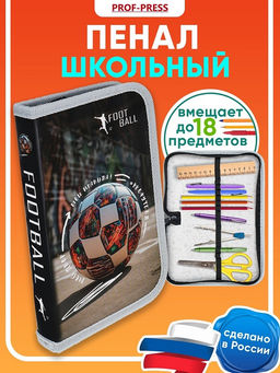 Пенал 1 отд. 190*115мм, Profit "Мой двор - мои правила" (ПН-3209) ламинация