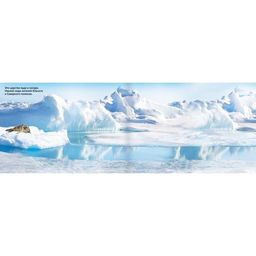 250 наклеек Животные со всего света, 8 стр. - Буква-ленд фото 2