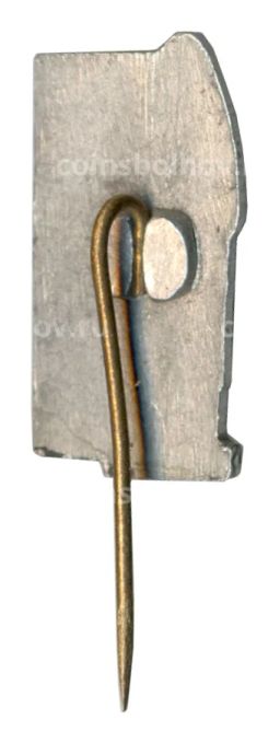 Значок Пирчюпис