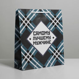 Пакет ламинированный Самому лучшему мужчине, ML 21х 25 х 8 см