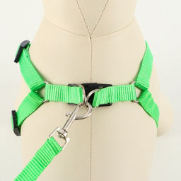 Комплект Базис, поводок 120 х 1,5 см, ОГ 32-46 см, зелёный - Пижон фото 2