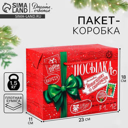 Цена за 2 шт. Пакет-коробка подарочный Новогодняя посылка, 23?18?11 см