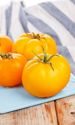 Томат НЕПАСЫНКУЮЩИЙСЯ КАРОТИНОВЫЙ Из серии Чудо Лентяя!