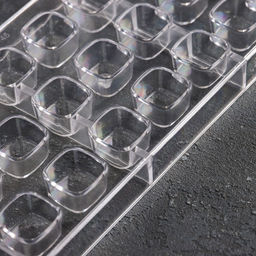 Форма для конфет и шоколада KONFINETTA Куб, пластик, 27.5?13.5?3 см, 21 ячейка (2.5?2.5 см), прозрачная  фото 2