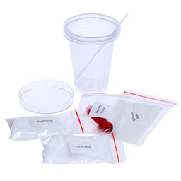 Набор для опытов Коралловый риф, Смешарики  фото 4