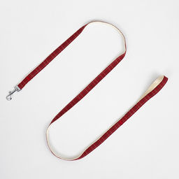 Комплект с мягкой шлейкой Клетки, размер M, поводок, 120 х 1,5 см, ОГ 34-66 см, красный - Пижон фото 9