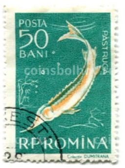Марка Осетр 1957 год Румыния