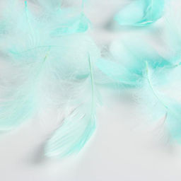 Наполнитель из перьев для шаров и подарков Мечтания , 15 х 11 см