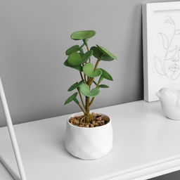 Искусственный цветок в горшке Пеперомия люкс (мягкий лист), 13?6 см, МИКС