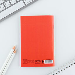 Цена за 4 шт. МИКС блокнотов А6, 32 листа Девушки - Artfox фото 12