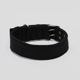 Ошейник четырехслойный с вертлюгом, 80 х 4,9 см, ОШ 64-74 см, полиэстер, чёрный - Пижон фото 2