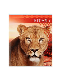 Цена за 10 шт. Тетрадь 48 листов в клетку, Calligrata Дикие кошки, МИКС  фото 8