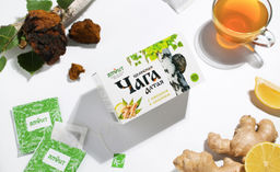 Чайный напиток целебная ЧАГА Алтая с ИМБИРЕМ и лимоном Алфит 7808