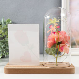 Фоторамка для фото 9?13 см с подсветкой Розовая роза в колбе, от батареек 2?LR1130, 9.8?19.5?18 см