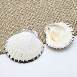 Подвеска Ракушка морского гребешка 45*43мм цвет радужный