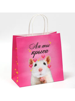 Цена за 2 шт. Пакет подарочный, упаковка, Ля ты, 22?22?11 см